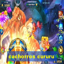 cachorros cururu